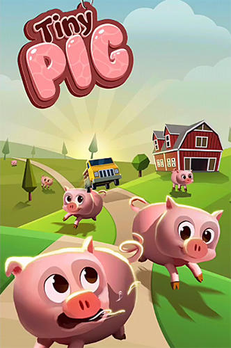 Download Tiny pig für Android kostenlos.