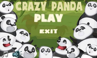 Verrückter Panda