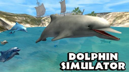 Delphin Simulator
