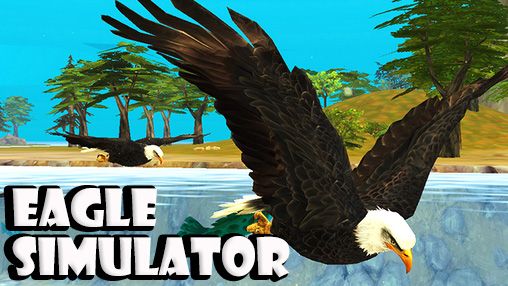 Adler Simulator