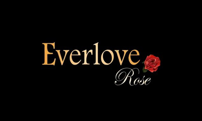 Liebe über alles: Rose