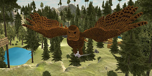 Flying owl simulator 3D