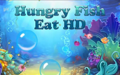 Hungriger Fisch isst HD