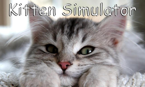 Katzen Simulator