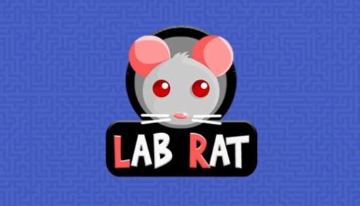 Labor-Ratte