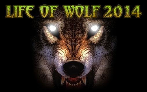 Leben eines Wolfes 2014