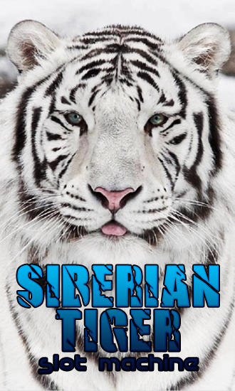 Sibirischer Tiger: Slot Machine