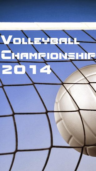 Volleyball Meisterschaft 2014