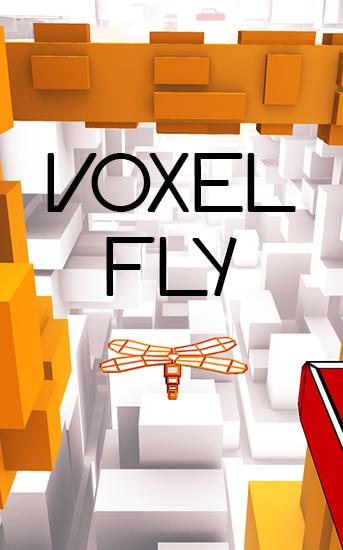 Voxel Flug