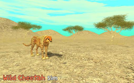 Wilder Gepard Simulator 3D