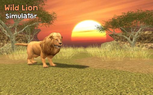 Wilder Löwe Simulator 3D