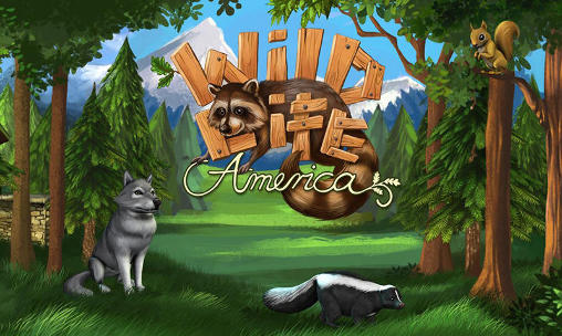 Tierwelt: Amerika