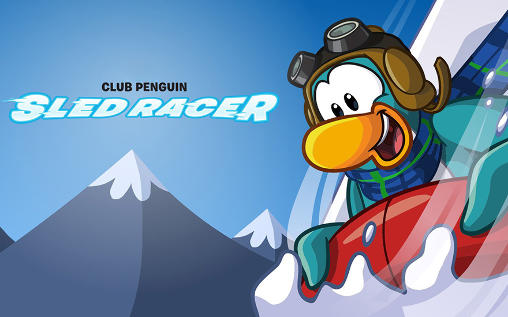 Club Pinguin: Schlittenrennen