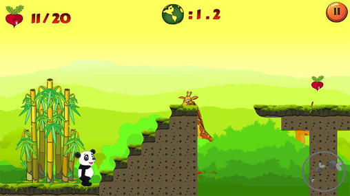 Dschungel Panda Lauf