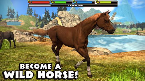 Ultimativer Pferd Simulator