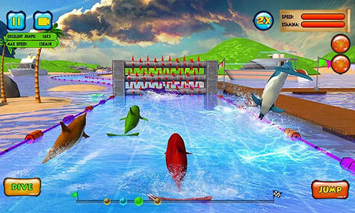 Delphinrennen 3D
