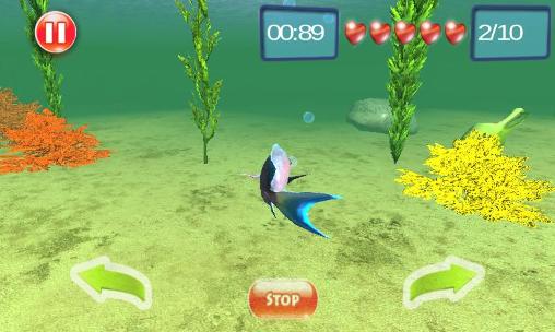 Unterwasserwelt Abenteuer 3D