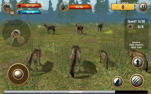Wilder Wolf Simulator 3D