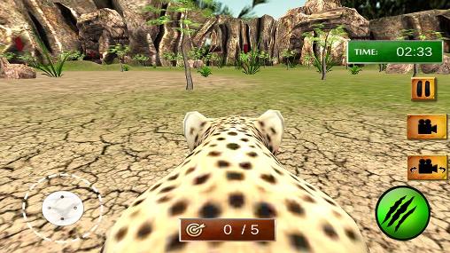 Afrikanischer Gepard: Überlebens-Simulator