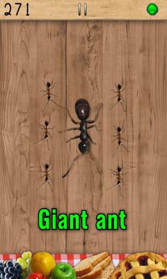 Ameisen Quetscher