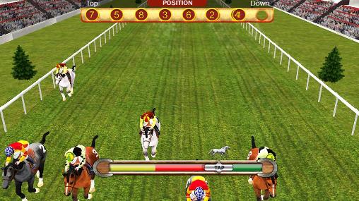 Pferderennen-Simulator 3D