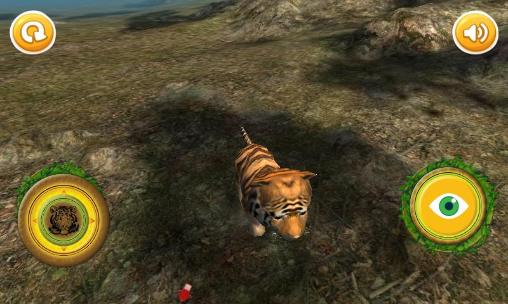 Echter Tigerbaby Simulator