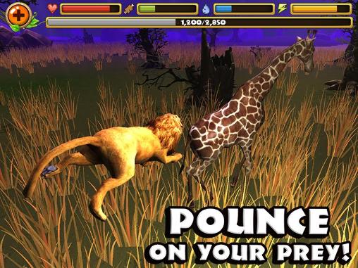 Safari Simulator: Löwe