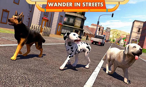 Straßenhund Simulator