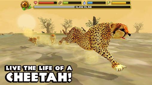 Gepard Simulator