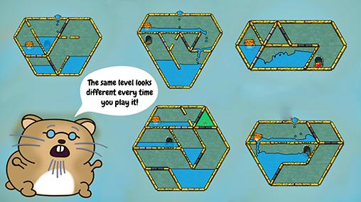 Hasty Hamster und die versunkene Pyramide: Ein Wasserpuzzle