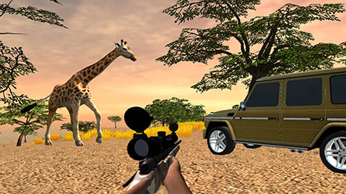 Safari Jagd 4x4