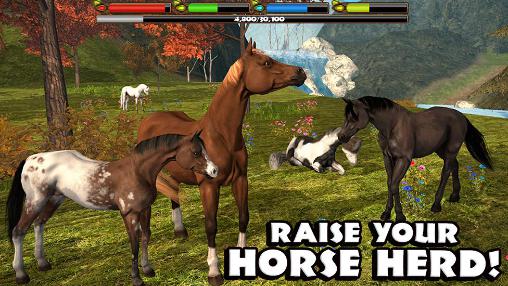 Ultimativer Pferd Simulator