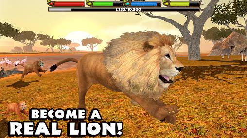 Ultimativer Löwen Simulator