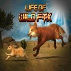 Mit der Spiel  apk für Android du kostenlos Leben eines wilden Fuchses auf dein Handy oder Tablet herunterladen.