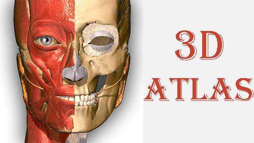 Kostenlos das Bildung app Anatomie Lernen - 3D Atlas  für Android Handys und Tablets herunterladen.