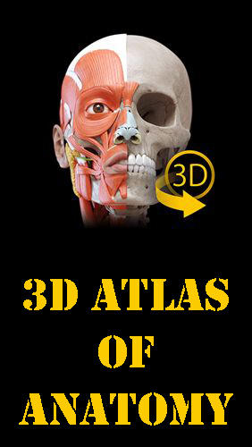 Kostenlos das Bildung app Muskeln | Skelett - 3D Atlas der Anatomie  für Android Handys und Tablets herunterladen.