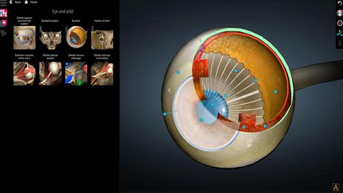 Anatomie Lernen - 3D Atlas 