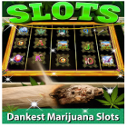 Mit der Spiel Vergessene Reise 2: Der Pförtner apk für Android du kostenlos Kush Slots: Marijuana Casino, Lucky Weed Smokers auf dein Handy oder Tablet herunterladen.