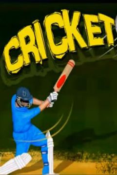 Cricket - Spiel