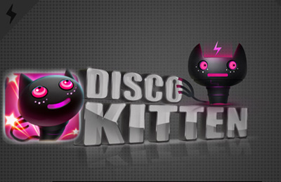 Disco Kätzchen
