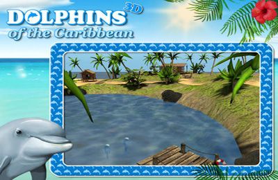 Delphine der Karibik: Abenteuer mit dem Piratenschatz