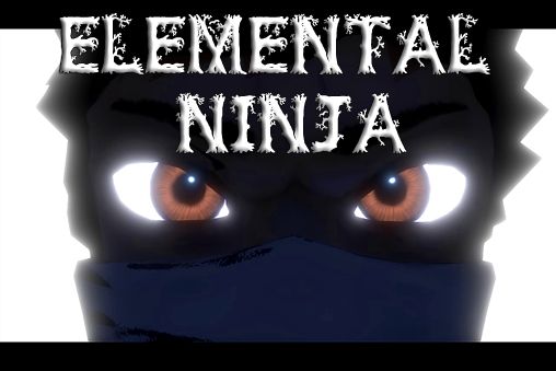 Elementarer Ninja