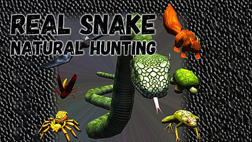 Echte Schlange: Natürliche Jagd