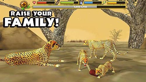 Gepard Simulator
