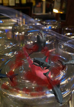 Ein Finger für den Hai! 3D Interaktives Aquarium