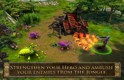 Helden von Ordnung und Chaos - Mehrspieler Onlinegame 