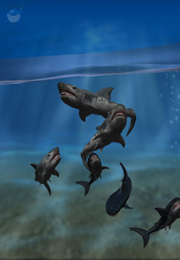 Ein Finger für den Hai! 3D Interaktives Aquarium