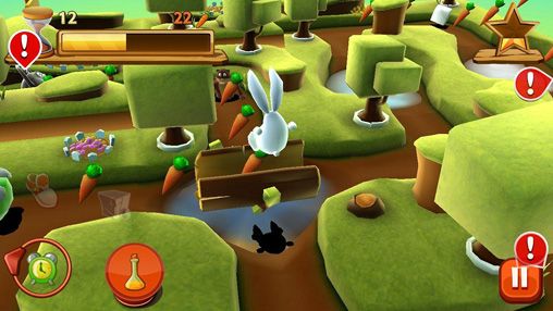Kaninchen Labyrinth 3D