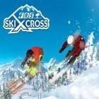 Mit der Spiel Botanicula ipa für iPhone du kostenlos FRS Ski Cross: Wettrennen herunterladen.
