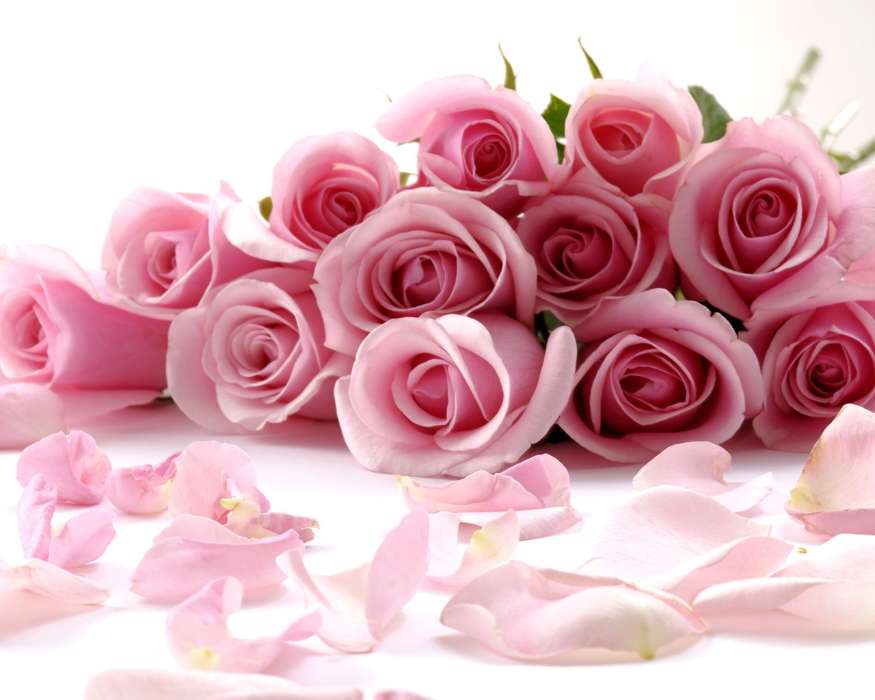 Feiertage,Blumen,Roses,Postkarten,8. März Internationaler Frauentag